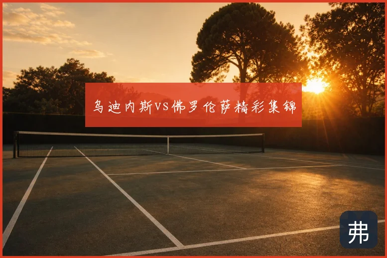乌迪内斯vs佛罗伦萨精彩集锦